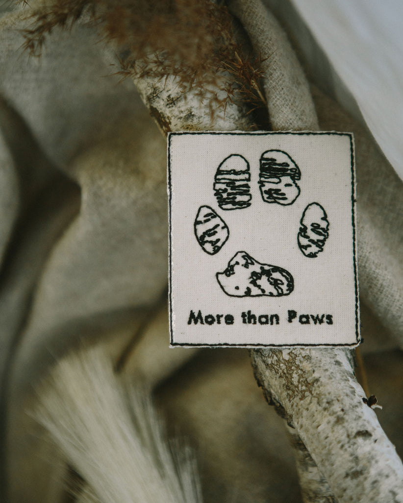 pawaho patch more than paws